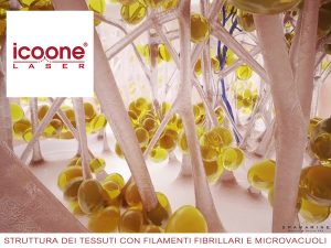 Struttura connettivo con filamenti e microvacuoli